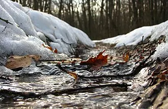 Маяцкая дача — фото 4