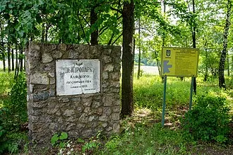 Дендропарк Маяцкого лесничества