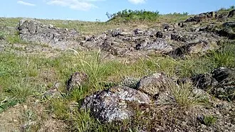 Половецкая степь (ландшафтный парк)