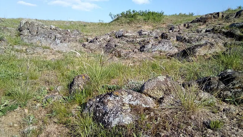 Половецкая степь (ландшафтный парк)
