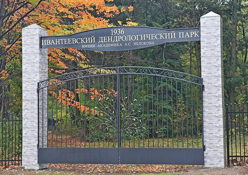 Ивантеевский дендрологический парк им. академика А. С. Яблокова