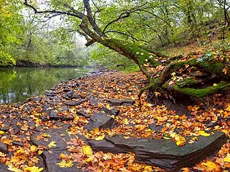 Зуевский ландшафтный парк