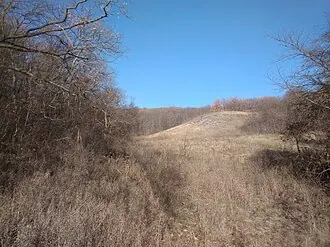 Старомихайловский заказник