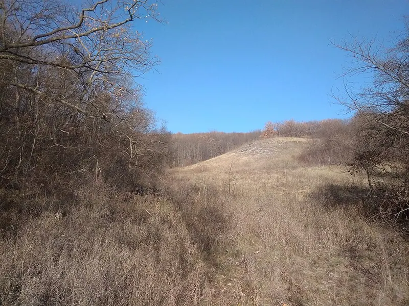 Старомихайловский заказник