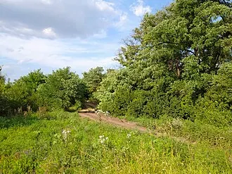Родники в балке Скотовая