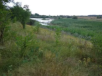 Родники в балке Скотовая — фото 3