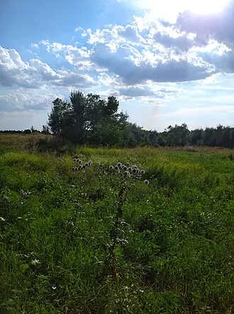 Родники в балке Скотовая — фото 4