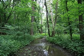 Урочище Грабово