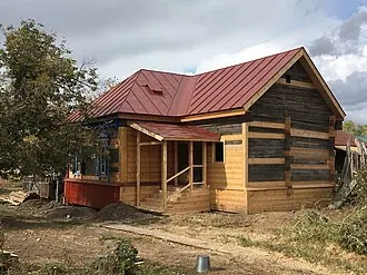 Дом со львом — фото 3