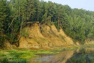Чекарда (разрез)