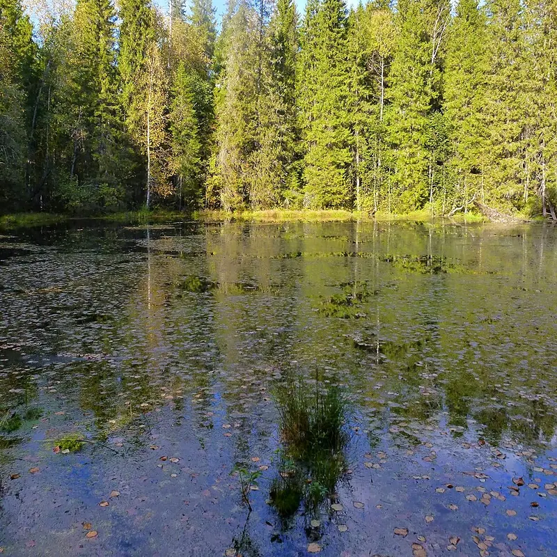 Дурнятская котловина