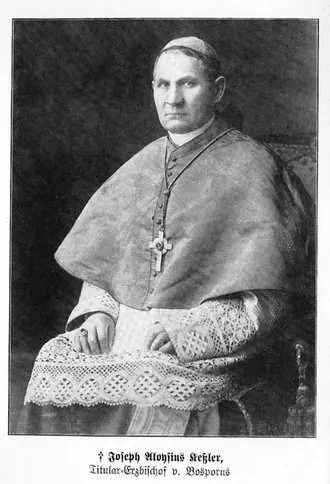 Костёл Сердца Иисуса Христа (Александровка) — фото 2