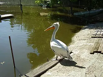 Липецкий зоопарк