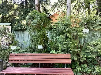 Государственный мемориальный музей Булата Окуджавы в Переделкине — фото 4