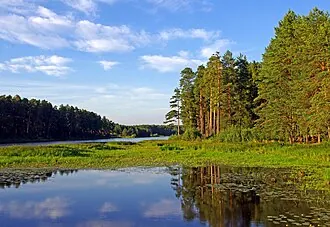 Огурдинский бор
