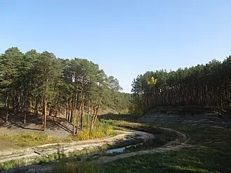 Гилёвская роща