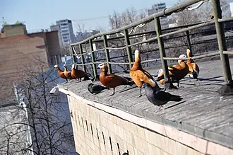 Фабрика-кухня Авиазавода № 1 Осоавиахима — фото 2