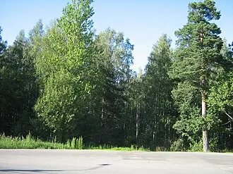 Усадьба Беллей — фото 2