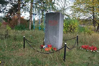 Зелёный пояс Славы — фото 3