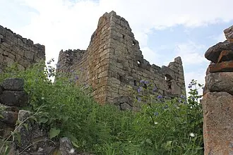 Тестархой (башенный комплекс)