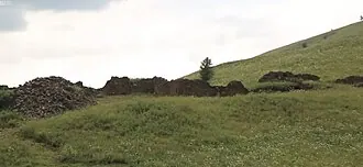 Геши (башенный комплекс)