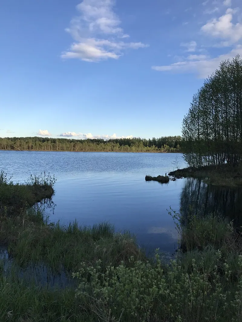 Коровье (озеро, Ивановская область)
