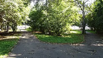 Землякам-комсомольчанам, павшим в боях за Родину в суровые годы Великой Отечественной войны — фото 2
