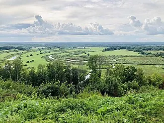Подвязье (усадьба) — фото 2