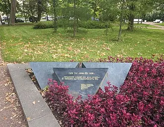 Формула скорби — фото 4