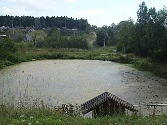 Усадьба Спасское-Куркино — фото 2