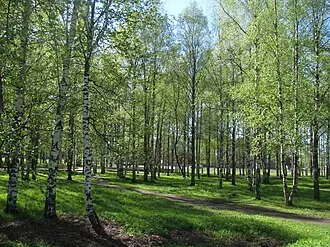 Вожегодский районный краеведческий музей — фото 2
