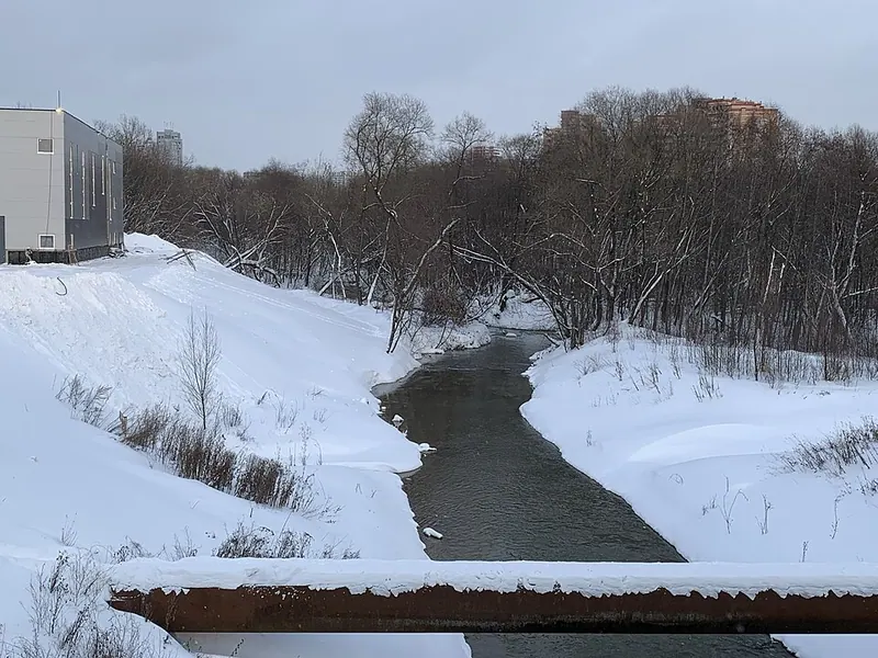 Аминьевский мост