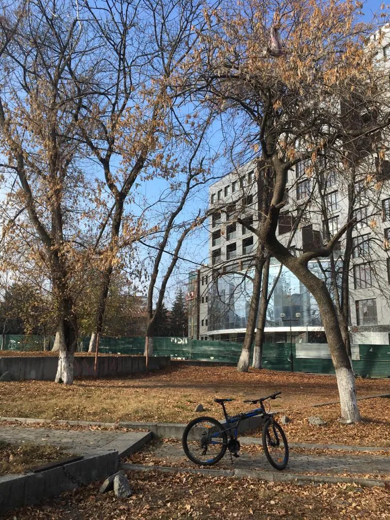 Ворошиловский сквер (Владикавказ)