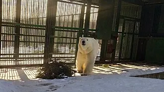 Центр воспроизводства редких видов животных — фото 2