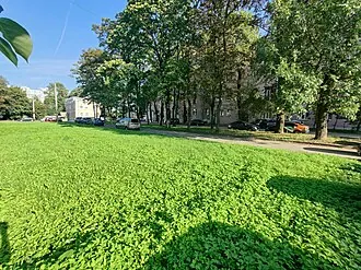 Сквер Екатерины Демидовой