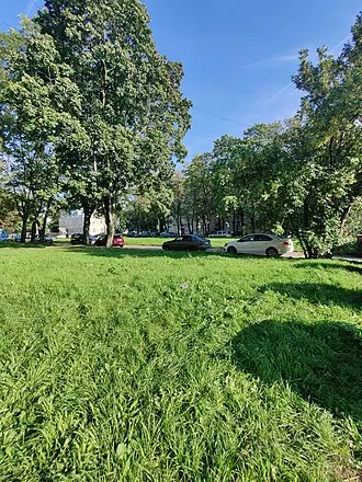 Сквер Екатерины Демидовой — фото 3