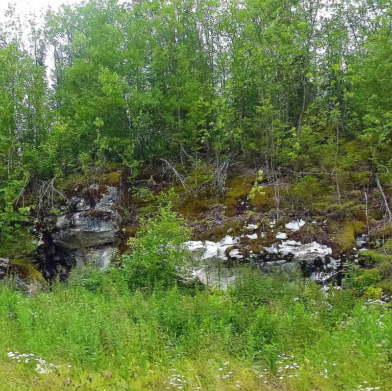 Сухой Лог (урочище)