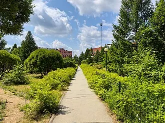 Ботанический сад Челябинского государственного университета — фото 3