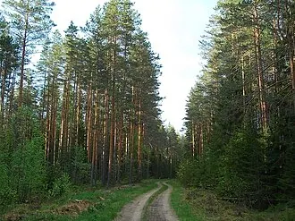 Ракитинский заказник