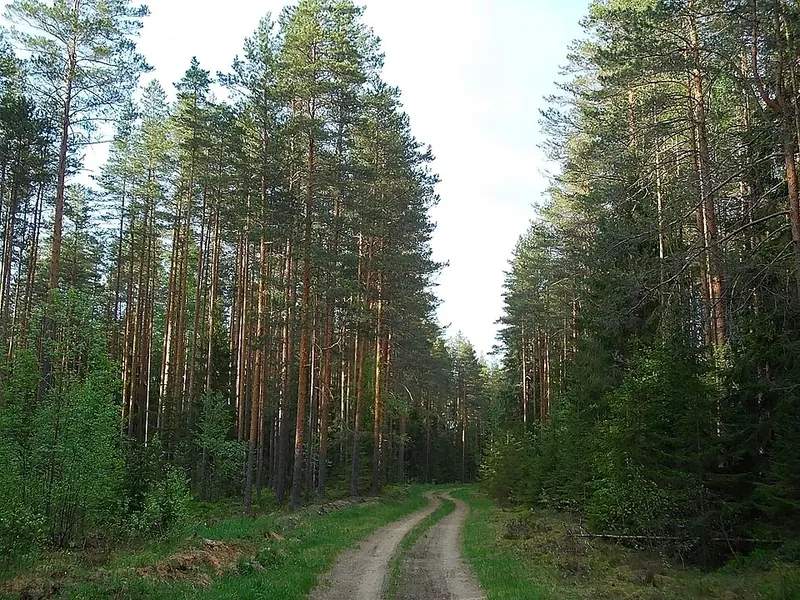 Ракитинский заказник