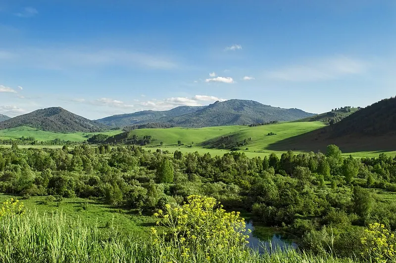 Бащелакский заказник