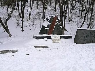 Партизанская шапка