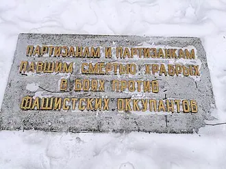 Партизанская шапка — фото 3