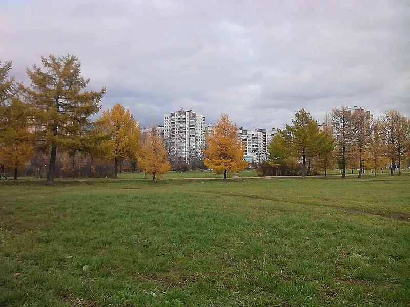 Сквер Воинов-Освободителей