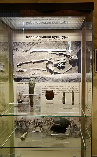 Национальный музей имени А. В. Анохина — фото 4