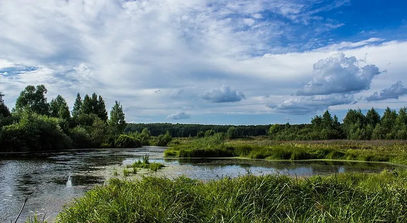 Семиозёрский лес