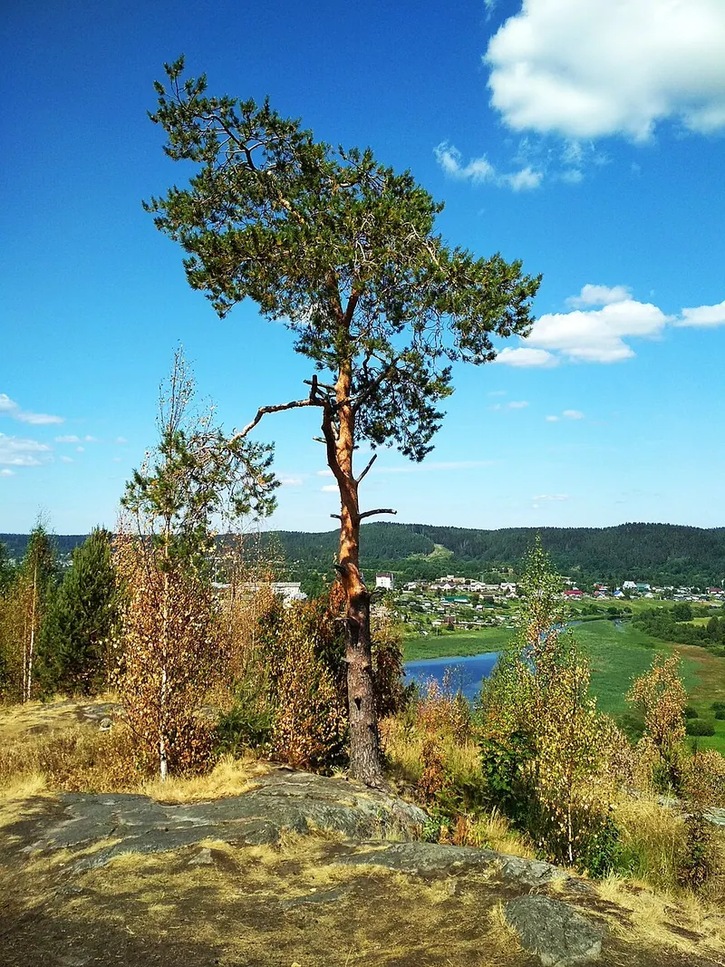 Паасонвуори