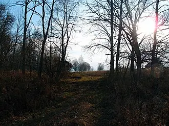 Спас-Коркодино (усадьба) — фото 4