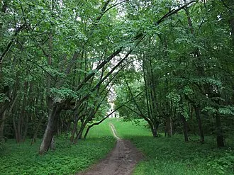 Парк в селе Ярополец