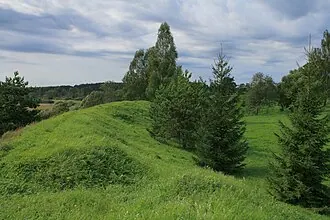 Микулино городище на реке Шоша